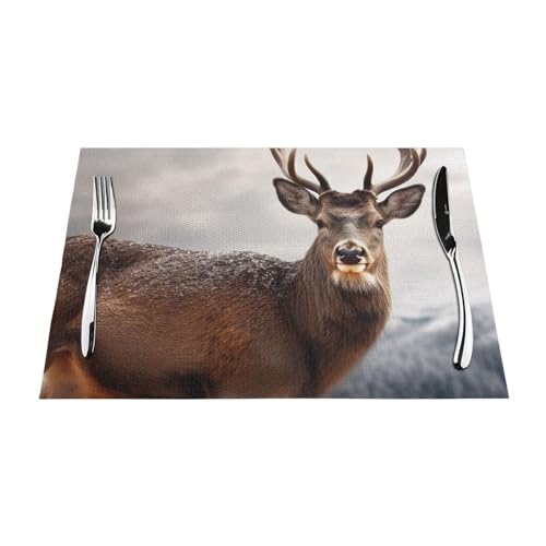 Sets de table antidérapants en PVC lot de 4 pour protéger la table des plats chauds - 3