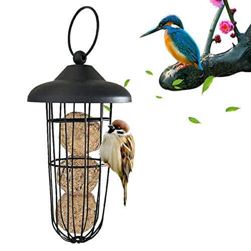 Mangeoire Oiseaux Exterieur Mangeoires Oiseaux Suspendues Cover
