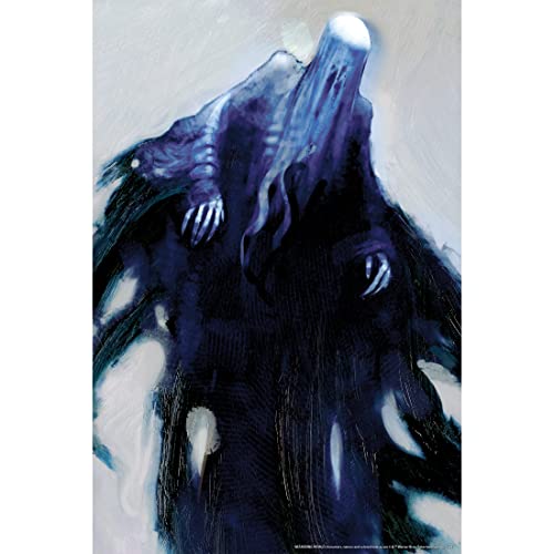 Rubie's Harry Potter Printed Plastic Decorative Window Cover, Dementors, 36"