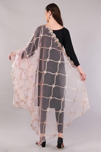Gold Embroidered Net Dupatta/Lightweight Sheer Shawl/Scarf/Wrap2