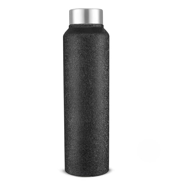 LiMETRO STEEL Water Bottle For Office Home | Water Bottle Steel | Steel Water Bottle For Kids School (Silver - 2 Pcs) (B0D9TLMV6R) Amazon Price History, Amazon Price Tracker