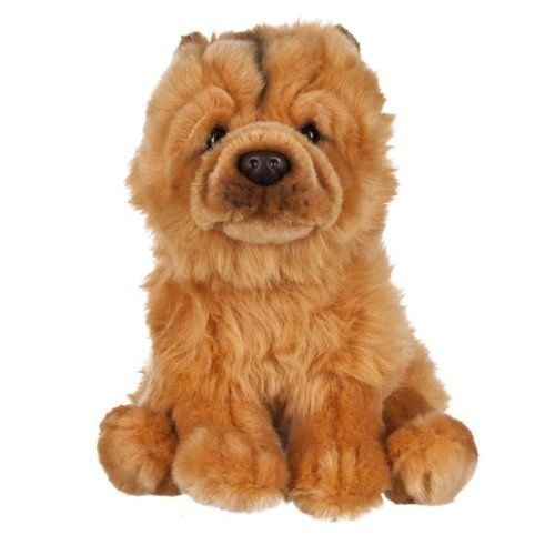 toy chow chow