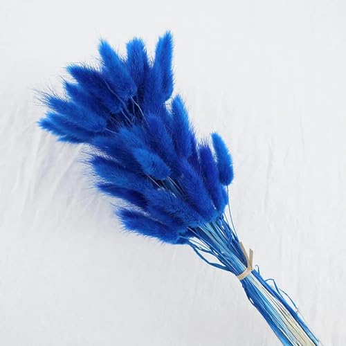 Pampas Grass Decor Tall 60Pzs Flores Secas miniatura 1
