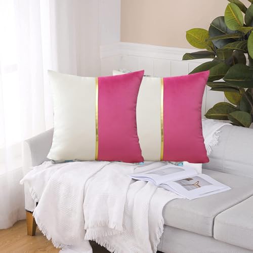 Image of HIMS Velvet Sofa Pillow Cover Set of 2, Luxury Cushion Cover 24 inch x 24 inch for Decorative Living Room Sofa Bedroom Car (24x24 Inch, Pink)