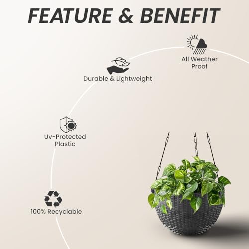 Image of YUCCABE ITALIA SHERA URO-Basket Plastic Flower Pot with Drainage Holes Round Planter Pot Suitable for Inddor Outdoor Kitchen (Grey, 6 INCH - 12 Pcs)