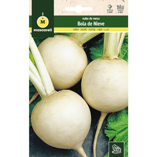 Mascarell Semillas, NABO, Semillas Huerto, NABO BOLA DE NIEVE, Crea tu Propio Huerto Urbano y Cultivo en Casa, Plantas Hortícolas, 12 Gramos