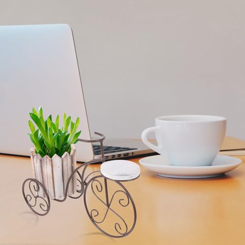 Décoration intérieure et extérieure de jardin pour pots de fleurs - 7