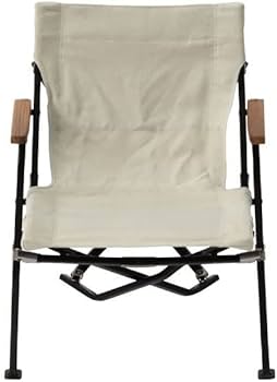 Amazon.co.jp: スノーピーク(snow peak) チェア ローチェア30 ショート