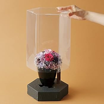 二胡 木製 六角形ボディ 専用ケース付き PLUS プラス 小型手提げ金庫＜シリンダー錠＞(硬貨/小物一体型