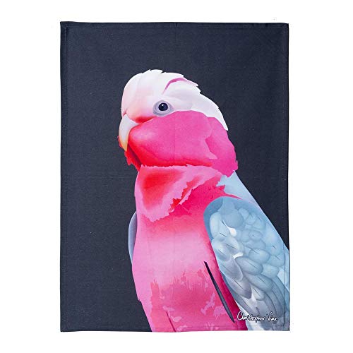 Elliot ST Klettergurt Omega Pro