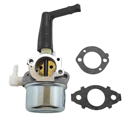 Carburateur 696065 resout le moteur qui cale compatible 697422 215369