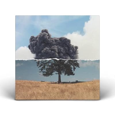 Portada del vinilo Cognition de Wilkinson