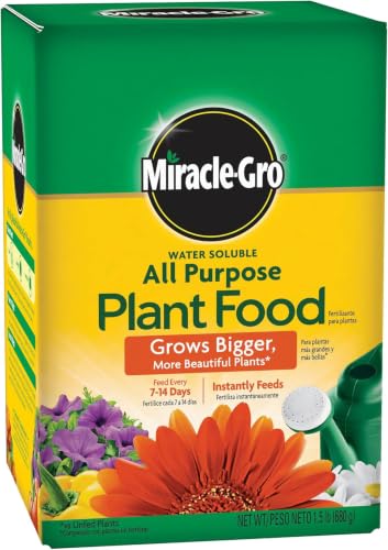 Image of Miracle-Gro Water Soluble All Purpose Plant Food - Fertilizer for All Indoor or Outdoor Plants Including Roses, Flowers, Vegetables, Houseplants, Trees, and Shrubs, 1.5 lbs. (Pack of 6)