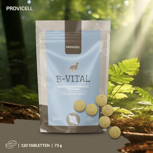 Provicell Vitamin B Komplex für Hunde mit B12 & Omega 3 – Vitamin B Tabletten für Hunde – 120 Tabletten – Ergänzung für Energie & aktive Phasen – Mit Tierärzten in Deutschland entwickelt