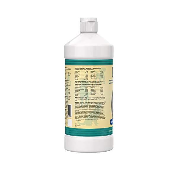 Dyne High Calorie Liquid for Dogs, 32 oz Dyne High Calorie Liquid for Dogs, 32 oz