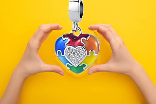 Dwjsu Autism Awareness Pandora Charm Puzzle Piece Enamel Asd Bead You Fit Me Perfectly Heart Charms For European Charm Bracelet, (Dw-New066) #TOP6