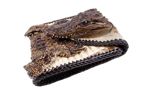 Genuine Crocodile Alligator with Head Skin Leather Bifold Handmade Western Cowboy Wallet (Natural, [C5] - 6 Card Slots + 2 Compartments for Bills)