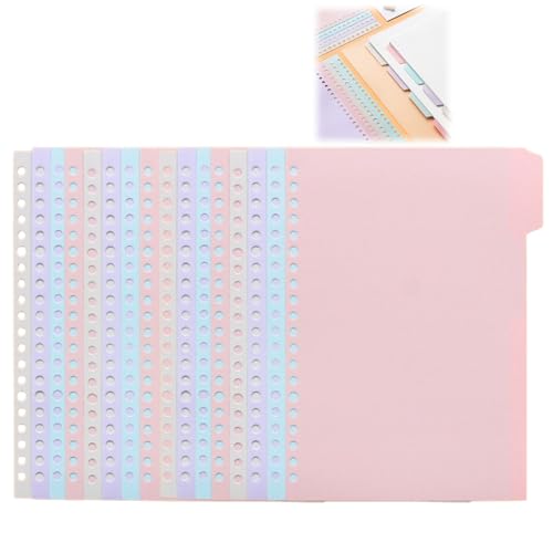 16Zbg A5/B5/A4Ή 20/26/30 PP CfbNXd؂J[h 4F x^ut t@C ItBX wZ ƒp [ m[g oC_[   ₷ オfUC ϖՐ  PPf J[