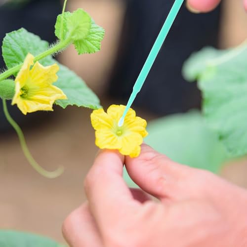 Veemoon 20 Herramientas de Polinización Manual Multicolor para Plantas, Polinizador Portátil para Tomates, Berenjenas y Frutas, Kit de Jardinería para Cultivo Exterior, Plumas - imagen 5