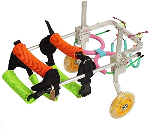 Silla de ruedas para perros: el vehículo de ejercicio que le devolverá las ganas de correr 2