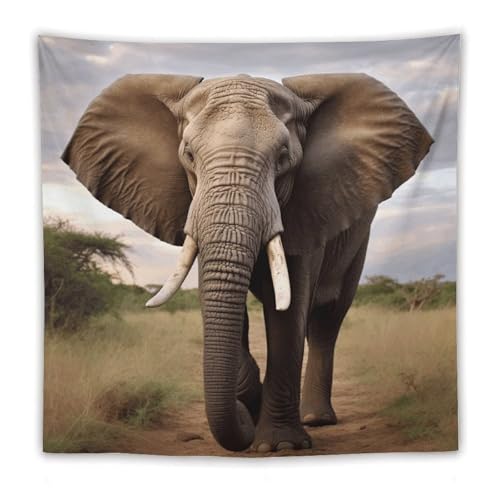 Tapisserie murale éléphant avec kit de suspension inclus vintage