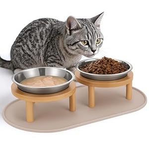 Elevated Cat Bowls with Food Mat,6.3 Inches Shallow Raised Bowls Whisker Friendly,2 Stainless Steel Cat Food and Water Dishes for Cats and Puppies,Dishwasher Safe