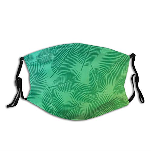 Yanfind – Folhas de palmeira de verão com cultura tropical havaiana tropical, floresta tropical, sem