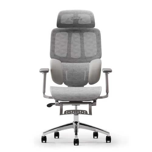MUSSO H80 Classic Ergonomic Office Chair 3-Zone Dynamic Lumbar Support,4D Adjustable Armrest, 5-Level Adjustable Backrest, Adjustable Headrest, Retractable Footrest (Classic-Light gray)