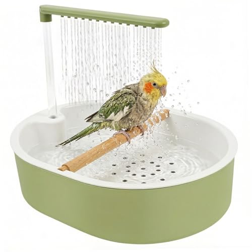 Baño automático para pájaros con flujo ajustable y perca para ninfas 4