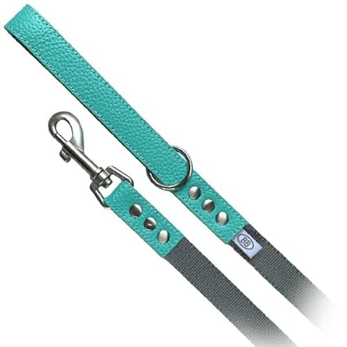 バディーベルト・ナイロンリードLサイズ・ロビンズエッグブルー(Robin’s Egg Blue Tiffurny)・BUDDYBELT・BUDDYBELS・バディベルト正規輸入代理店,バディーベルト正規輸入代理店