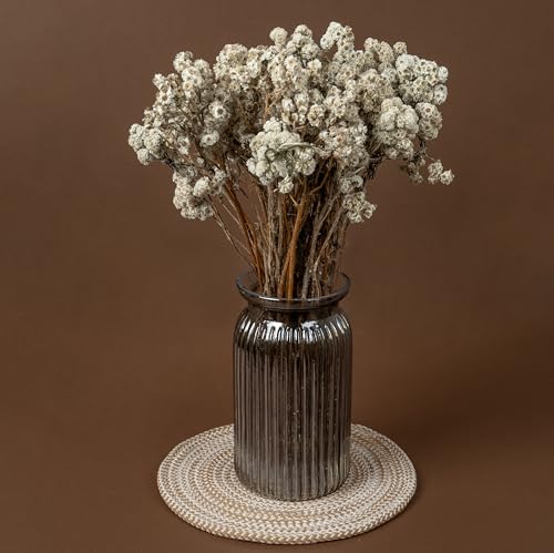 Image of Himalayan Daisy Dried Flowers | Natural Dried Blooms| 70 Grams | Naturally Preserved, Delicate & Everlasting | Perfect for Home Decor, Floral Arrangements, Bouquets & DIY Crafts(White)