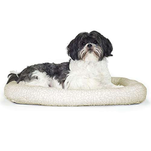 Best Murphy Bed For Dog