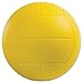 Champion Sports Coated High Density Foam Volleyball