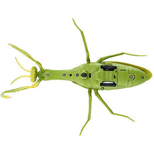 Amazon.co.jp: 赤外線RC カマキリ リモコン操作 ラジコン 昆虫 テスト