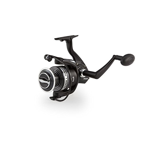 Best Striper Reels of 2020 Buyer’s Guide Review