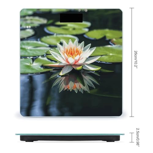 Báscula digital Water Lily para baño precisión alta miniatura 2