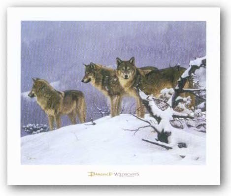 The Return by John Banovich 22"x28" Art Print Poster
