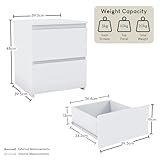 Vida Designs B0CW3J1BK3 lato 2