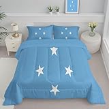 Flagge Der Föderierten Staaten Von Mikronesien Gesteppte Bettdecke, 4 Jahreszeiten Bettdecke Microfaser, Weicher Leicht zu pflegener Nationale Flaggege Ganzjahresdecke Waschbar Bettdecken 264x228 cm