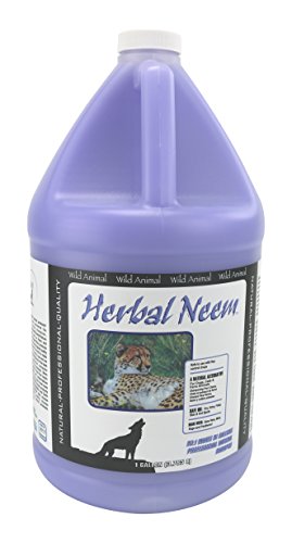 Wild Animal Herbal Neem 50:1 Shampoo Gallon