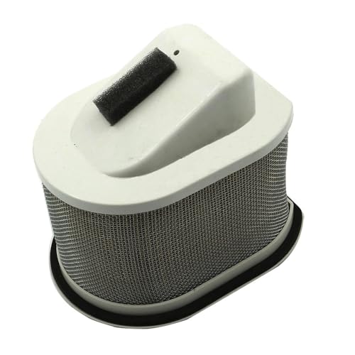 Filtre à air moteur de moto compatible Kawasaki Z800 et Z750