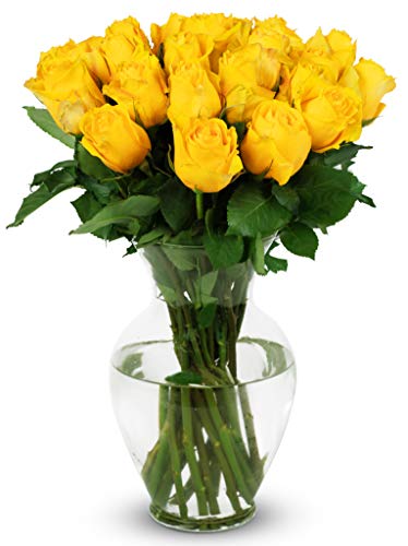 Benchmark Bouquets - 24 Stem Premium Yellow Roses (Glass Vase Included) - Fresh Flowers for Delivery - Gift for Graduation, Birthday, Anniversary, Sympathy, Get Well, Congratulations