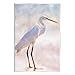 Stupell Industries Egret Wildlife Portrait Wall Plaque Art Design by Kim Allen
