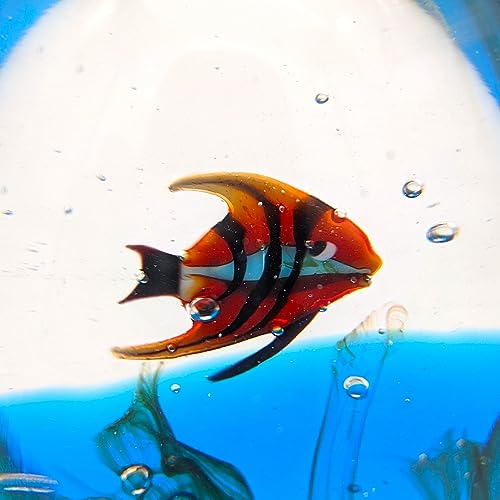 YourMurano - Murano Glass Aquarium for Home Decor, Small Size Made in Italy Blown Glass Marine Sculpture, Oval Shape - Image 4