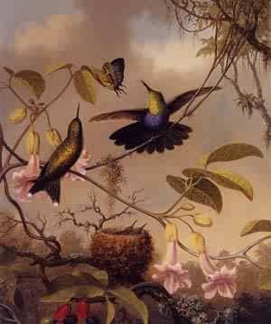Peinture à l'huile Fort-Tailed Woodnymph Heade 12x16 pour illuminer un mur sombre