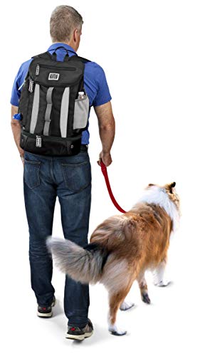 Mobile Dog Gear