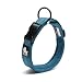 Chai's Choice Best Padded Comfort Cushion Dog Collar for Small, Medium, and Large Dogs and Pets. Perfect Match Front Range Harness Leash. (Small, Teal Blue)