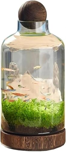 SLLS aKX ؐgCt k͔|E}CNhXP[vp CeA ƒpItBXp