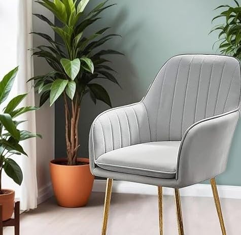 Image of Velvet Dining Chairs, Soft Cushion Seat Chair for Living Room Bedroom Restaurant Fabric DiningChair | Accent Chair for Living Room Bedroom Study Cafe Restaurant Pack 1 (Grey)