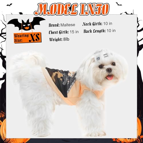 BINGPET Dog Halloween Shirt, Gunner Funny Dog Halloween Costumes Puppy Tshirt, Breathable Sleeveless Tank Top Vest & Sweatshirt for Small Medium Dogs Cats (M) — view 3